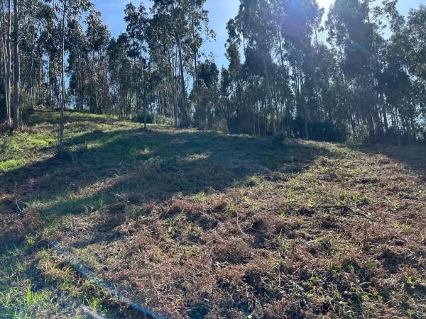 Terreno en camino do Foxo, 11