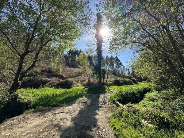 Terreno en camino do Foxo, 11