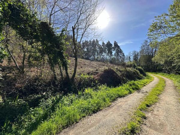 Terreno en camino do Foxo, 11