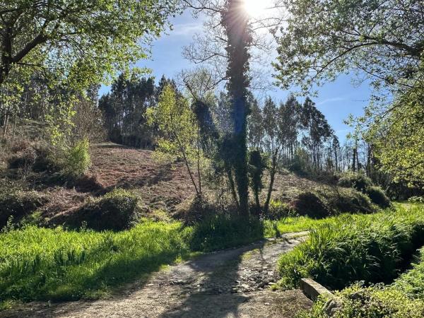 Terreno en camino do Foxo, 11