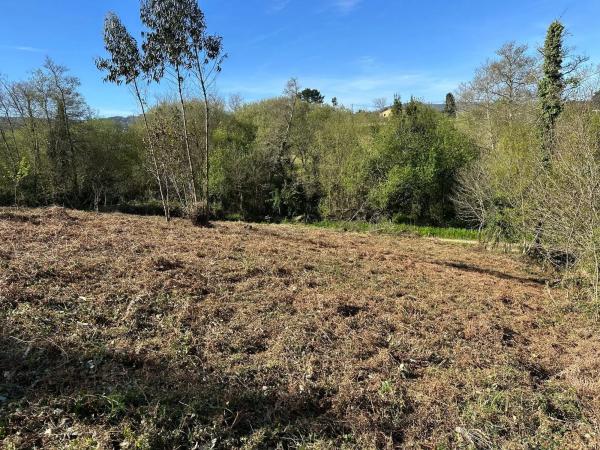 Terreno en camino do Foxo, 11