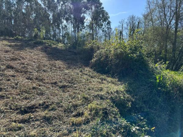 Terreno en camino do Foxo, 11