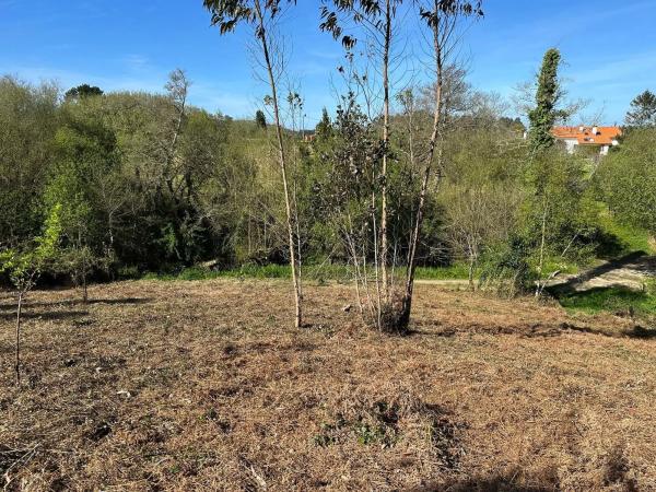 Terreno en camino do Foxo, 11