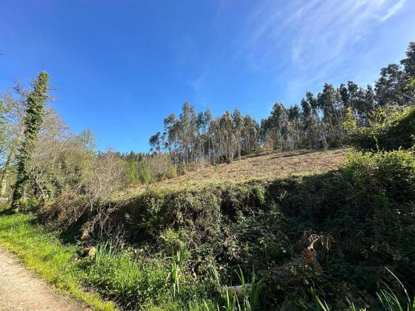 Terreno en camino do Foxo, 11