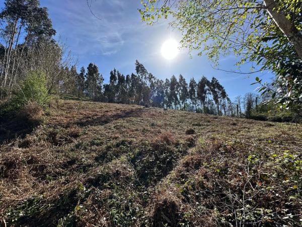 Terreno en camino do Foxo, 11