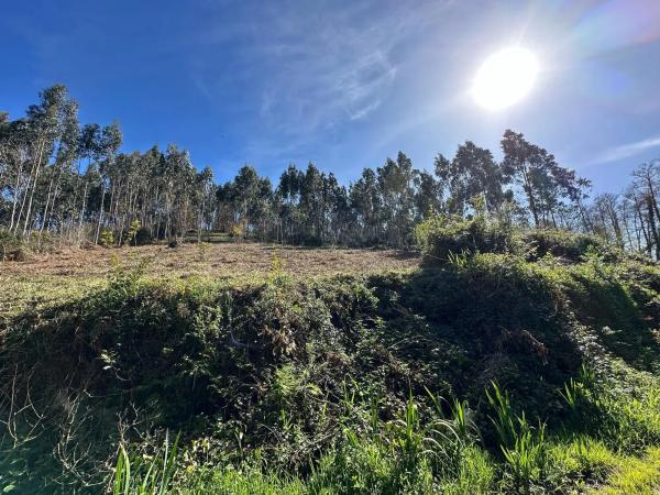 Terreno en camino do Foxo, 11