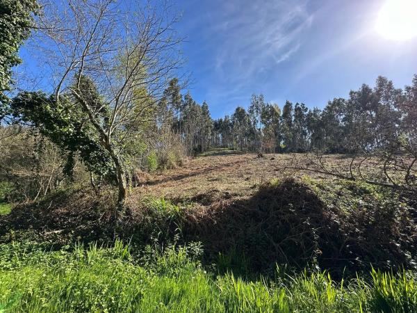 Terreno en camino do Foxo, 11