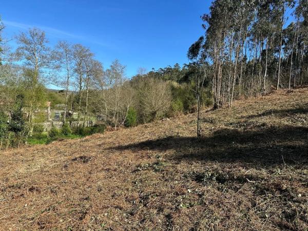 Terreno en camino do Foxo, 11