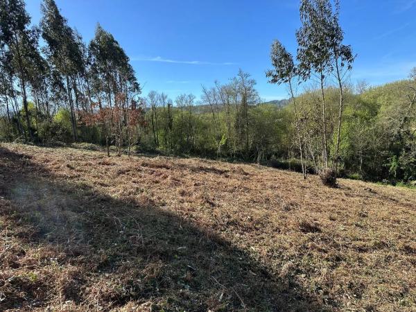 Terreno en camino do Foxo, 11