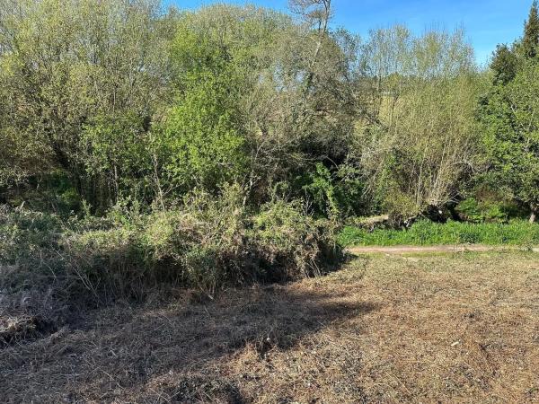 Terreno en camino do Foxo, 11