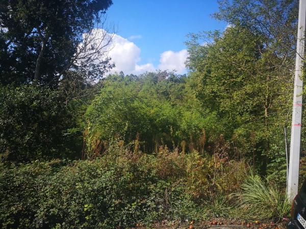 Terreno en Lugar Mariñan, 69