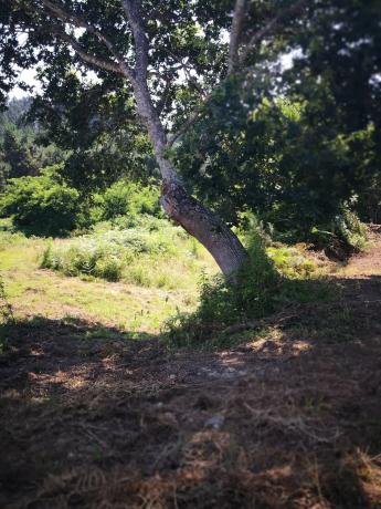 Terreno en Lugar Mariñan, 69