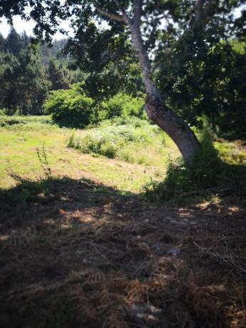 Terreno en Lugar Mariñan, 69