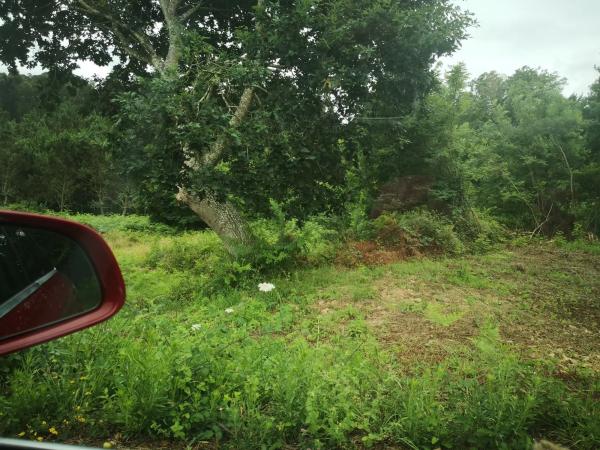 Terreno en Lugar Mariñan, 69