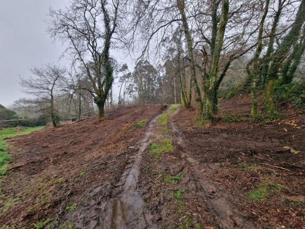 Terreno en Aldea Brans de Arriba s/n