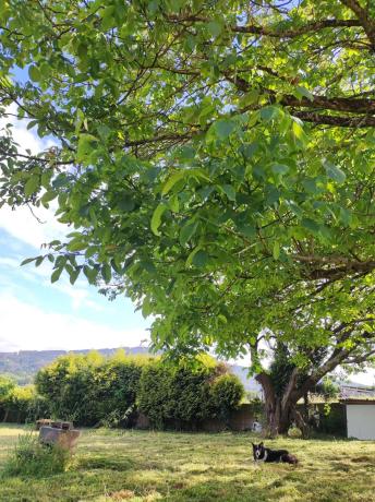 Terreno en Vinxeira Pequena, 47 -b