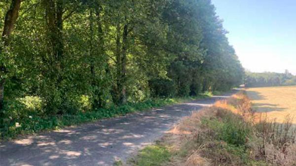 Terreno en Dp-1004, 8