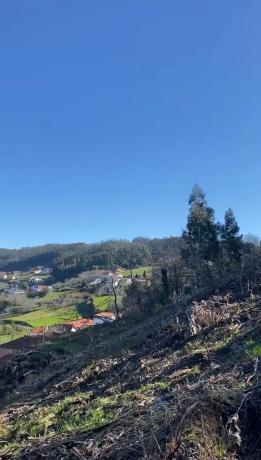 Terreno en Lugar de Santallamar s/n