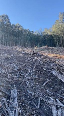 Terreno en Lugar de Santallamar s/n