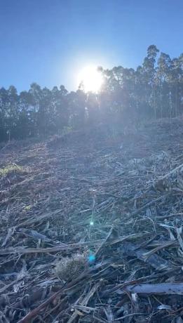 Terreno en Lugar de Santallamar s/n