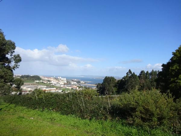 Terreno en calle Florencia, 1