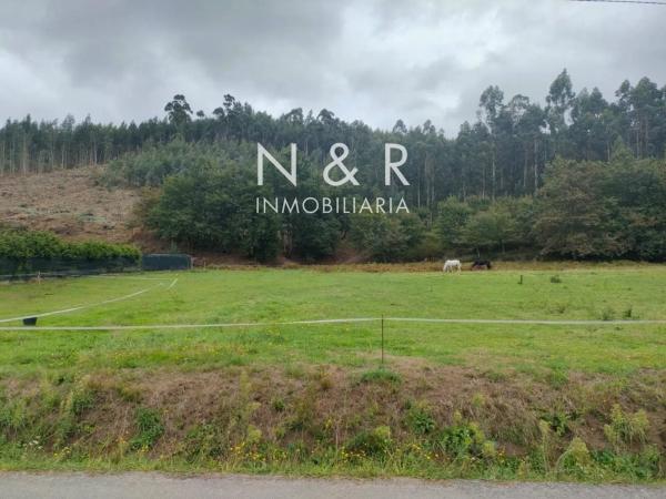 Terreno en camino de Texexe