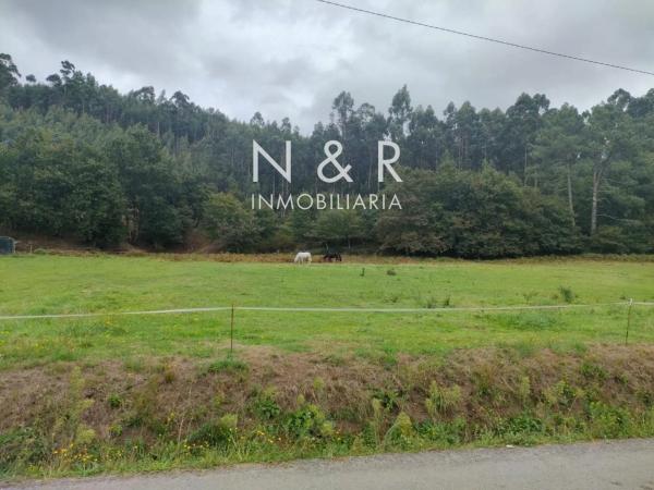 Terreno en camino de Texexe