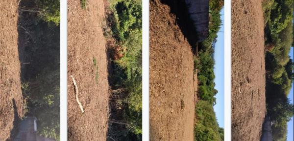 Terreno en carretera Lugar, km 2