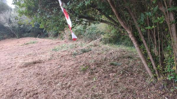 Terreno en carretera Lugar, km 2