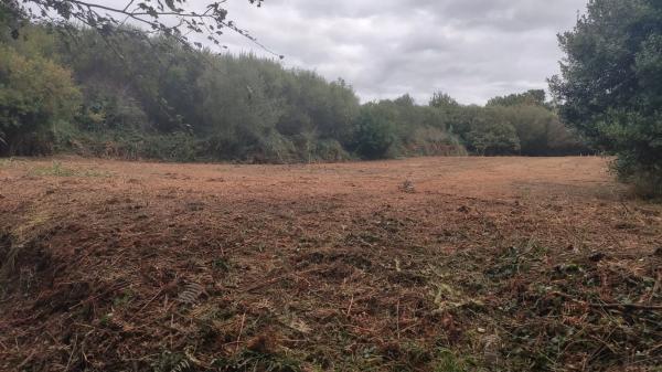 Terreno en carretera Lugar, km 2