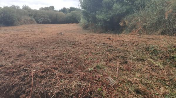 Terreno en carretera Lugar, km 2
