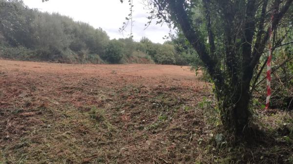 Terreno en carretera Lugar, km 2