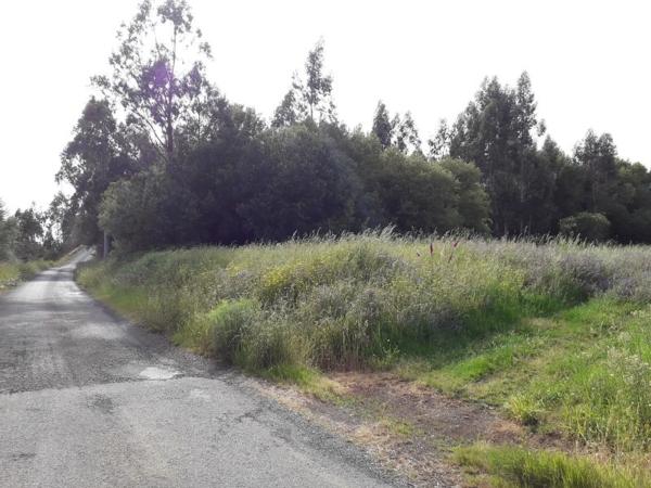 Terreno en calle da Pena Corveira, 33