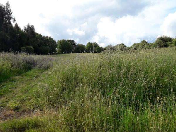 Terreno en calle da Pena Corveira, 33