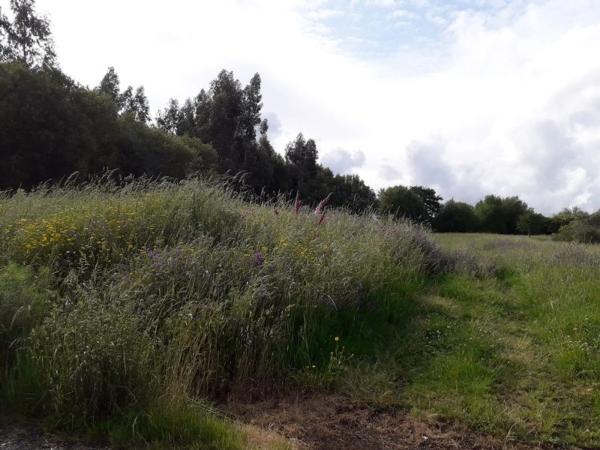 Terreno en calle da Pena Corveira, 33