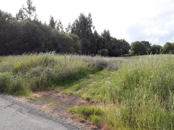 Terreno en calle da Pena Corveira, 33