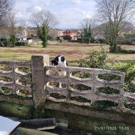 Terreno en fortiñon, 1