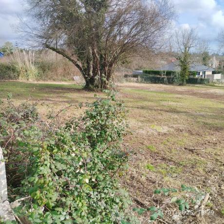 Terreno en fortiñon, 1