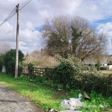 Terreno en fortiñon, 1