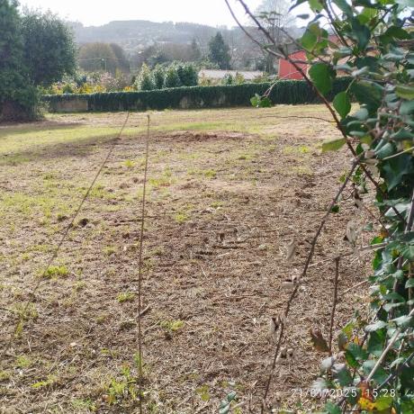 Terreno en fortiñon, 1