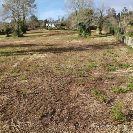 Terreno en fortiñon, 1