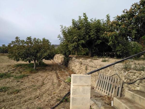 Casa independiente en Partida Alcocons