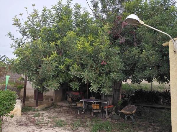 Casa independiente en Partida Alcocons