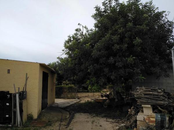 Casa independiente en Partida Alcocons