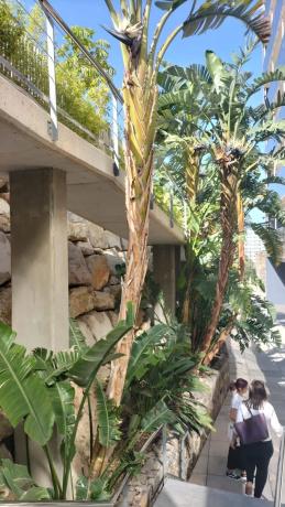 Piso en calle Gregal