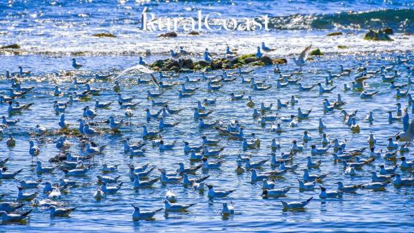 Piso en camino las Torres