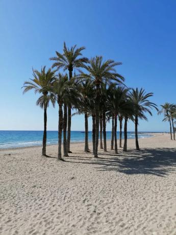 Estudio en plaza Castelar, 7