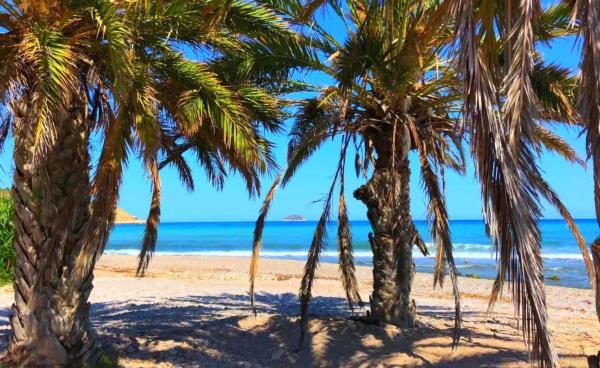 Chalet adosado en calle Edeta, 3