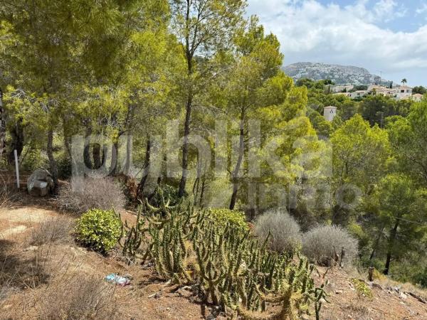 Piso en calle Ciutat de Castelló