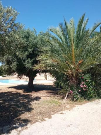 Casa independiente en calle la Vall de Perputxent